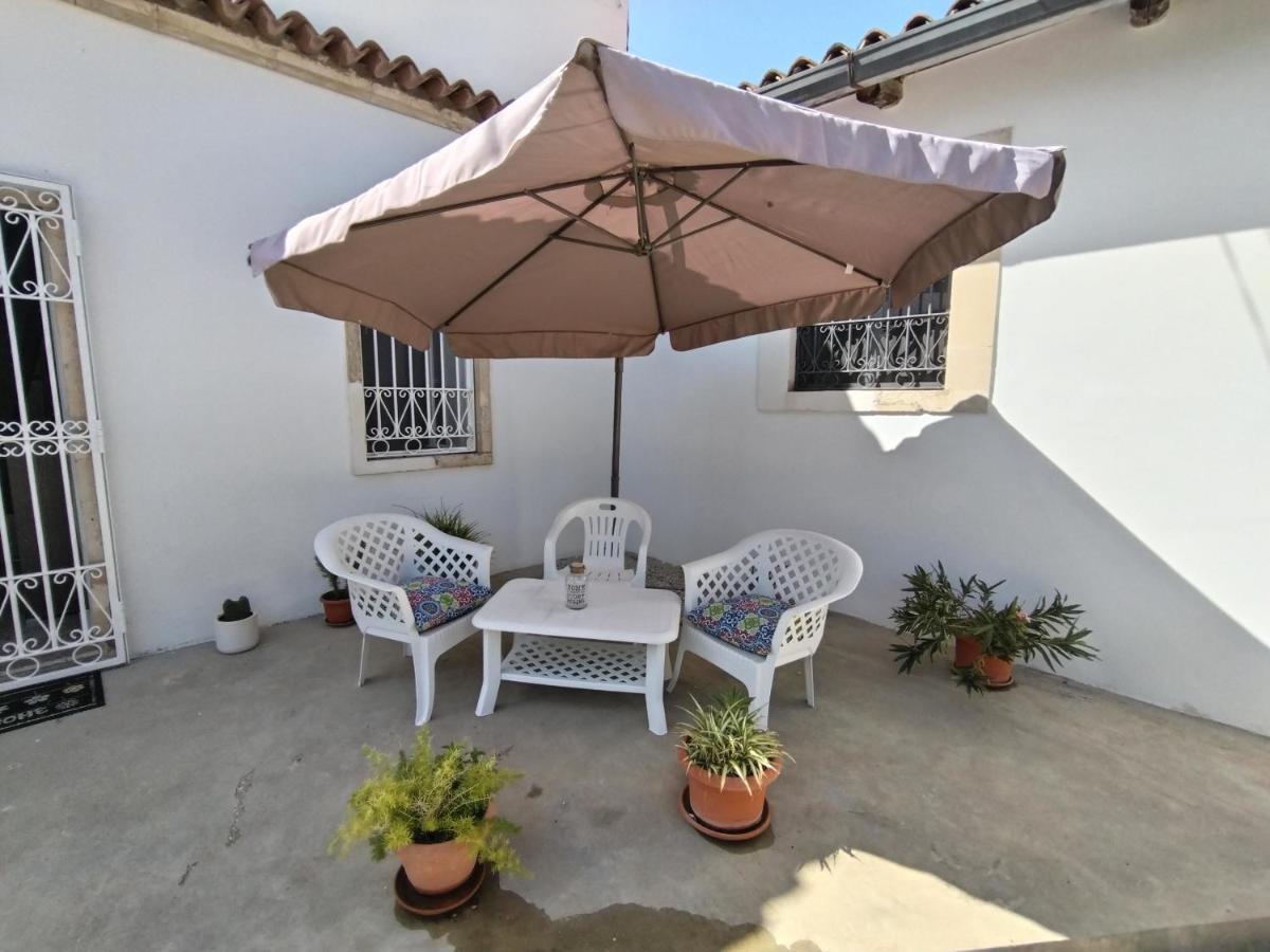 Hibiscus Siracusa Syracuse Extérieur photo